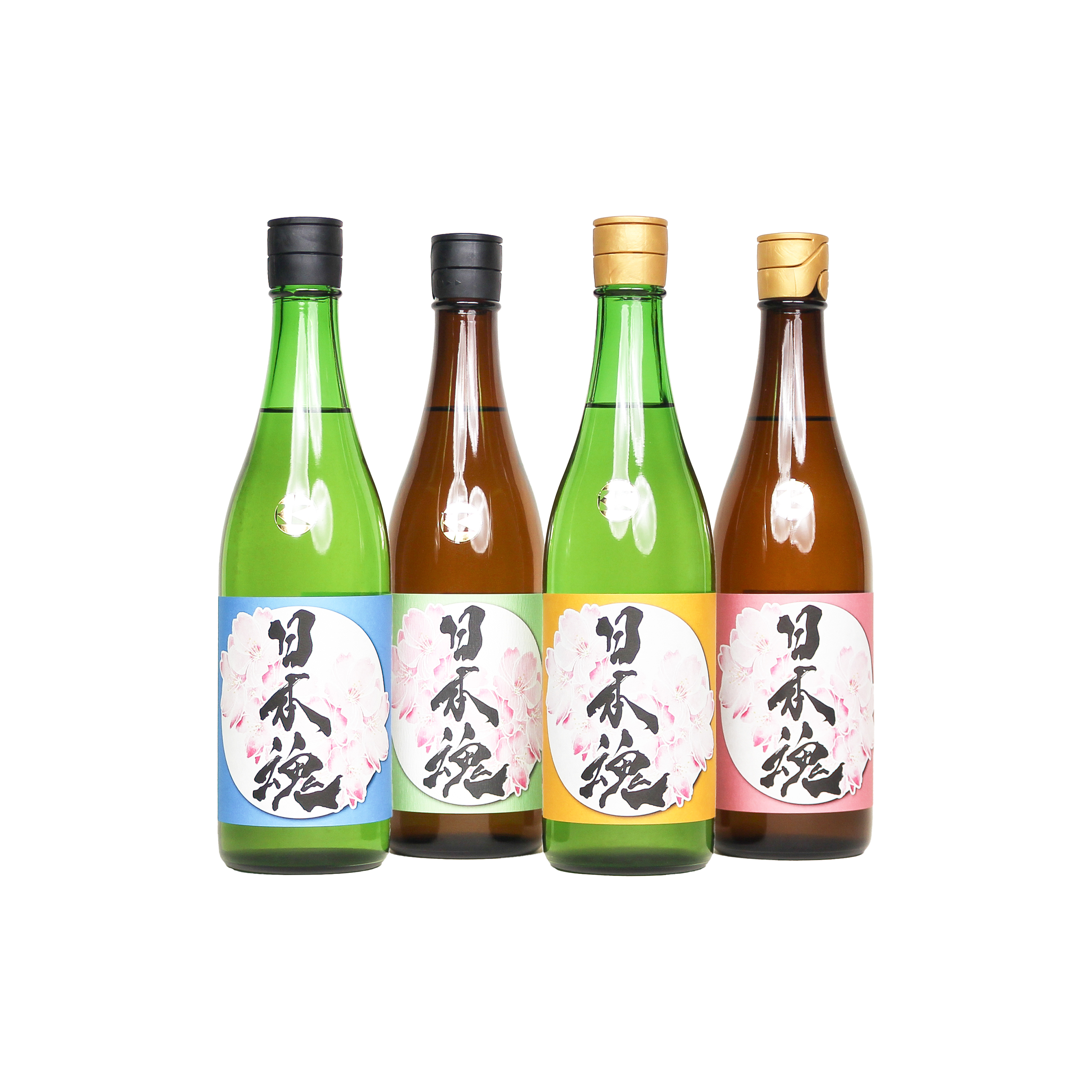 Eigashima Discovery Pack