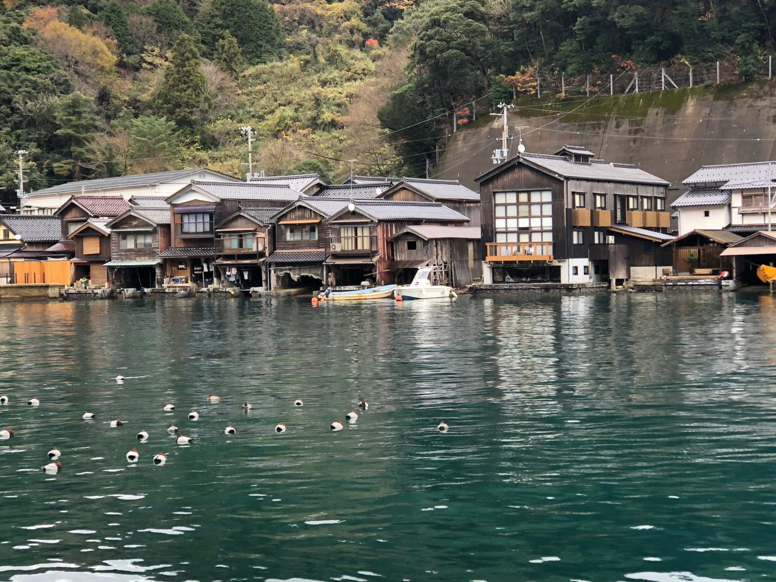 Mukai Shuzo - Uranagi