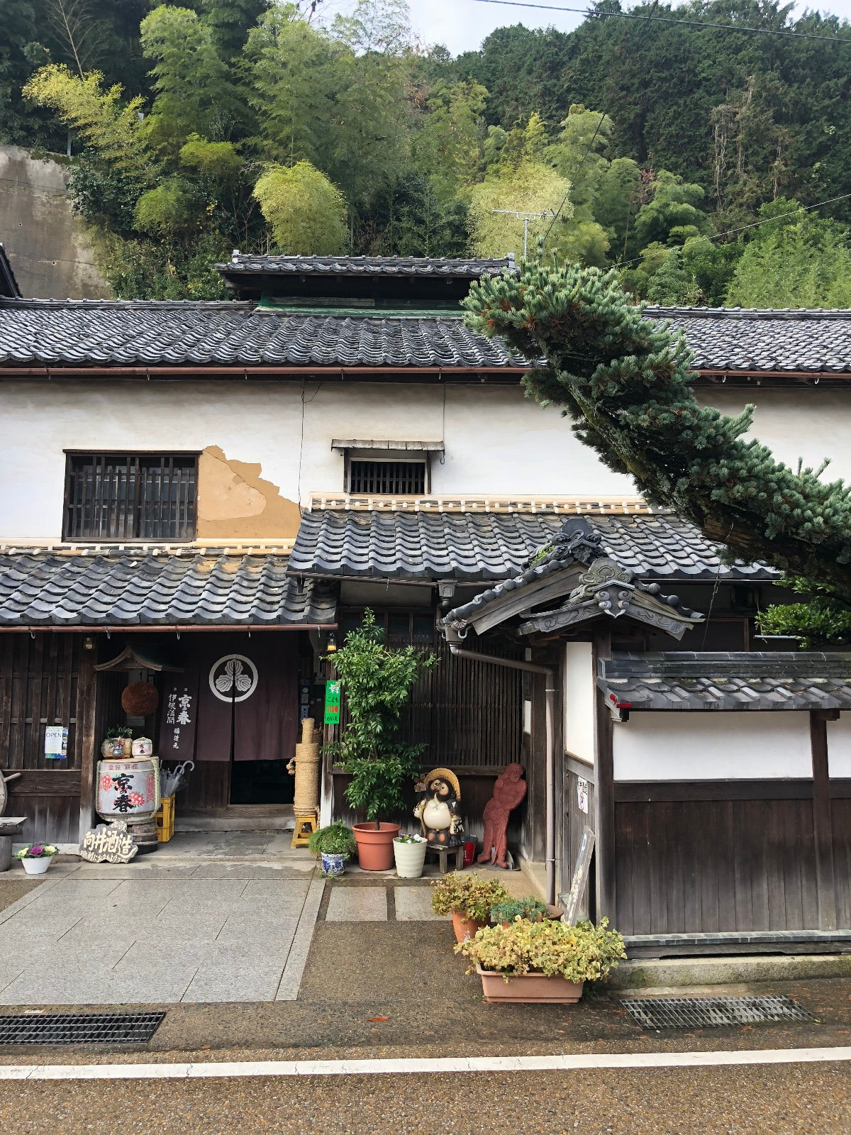 Mukai Shuzo - Kyo no Haru