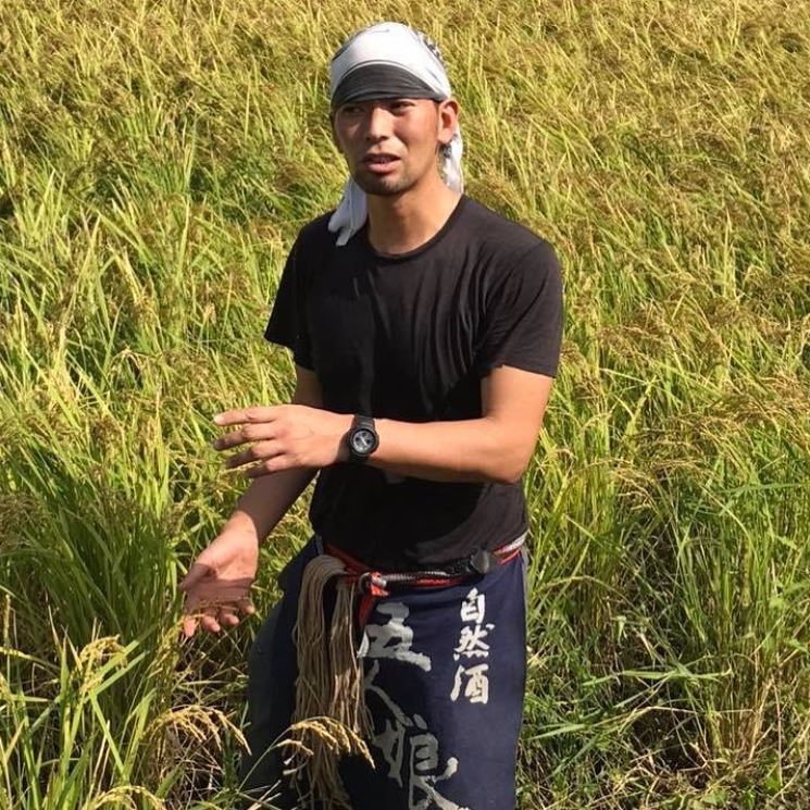 Terada Honke - Musubi