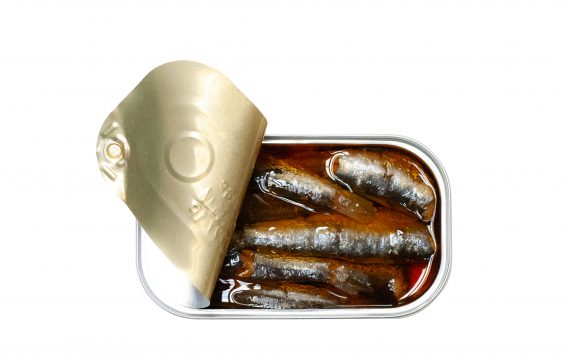 Jose Gourmet - Spiced Small Sardines