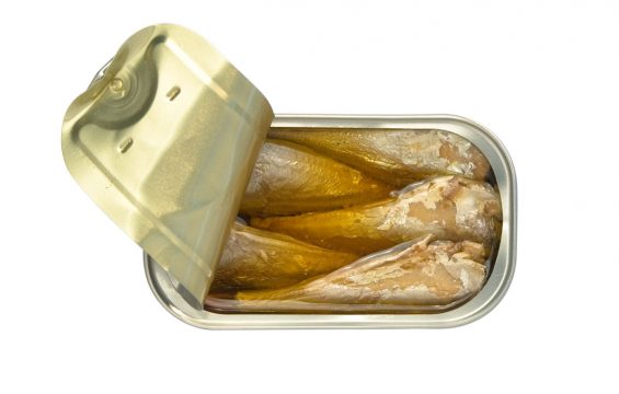 Jose Gourmet - Stickleback in Pickled Sauce (b.b 31 Dec 22)